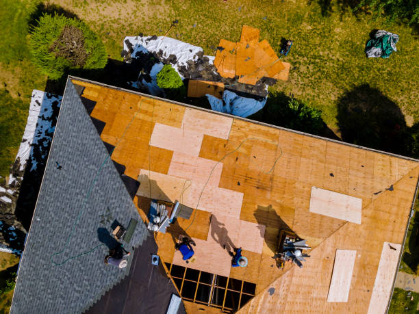Best Roof Gutter Cleaning  in Bohemia, NY